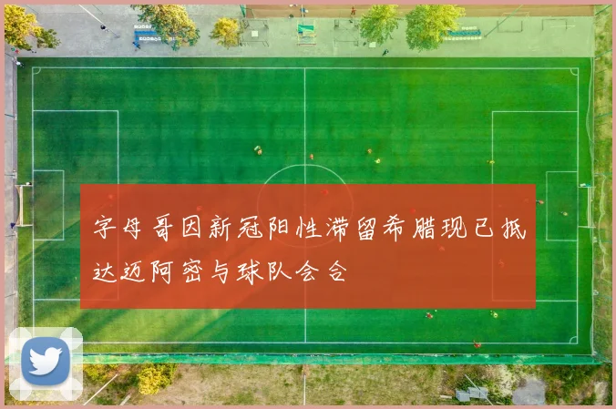 字母哥因新冠阳性滞留希腊现已抵达迈阿密与球队会合