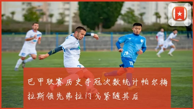 巴甲联赛历史夺冠次数统计帕尔梅拉斯领先弗拉门戈紧随其后