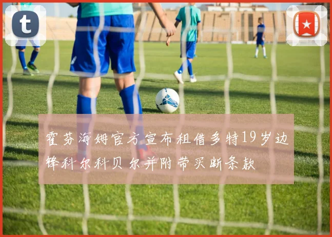 霍芬海姆官方宣布租借多特19岁边锋科尔科贝尔并附带买断条款