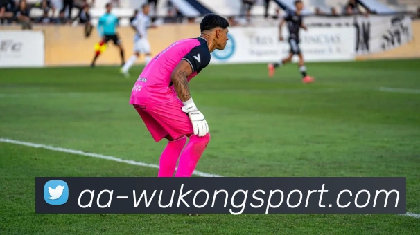 悟空体育APP 封面图